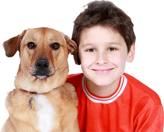 Arpnet Rescue and Adoption service menu